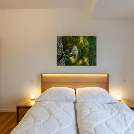 Hirschmann 5 Mit Kamin Apartment Braunlage