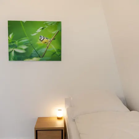 Hirschmann 5 Mit Kamin Apartment Braunlage